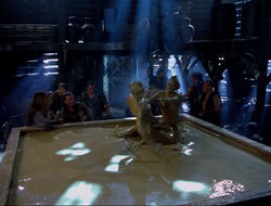 extant_HTLJ_4x16-Porkules_2345