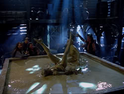 extant_HTLJ_4x16-Porkules_2346