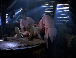 extant_HTLJ_4x16-Porkules_2428
