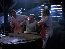 extant_HTLJ_4x16-Porkules_2430