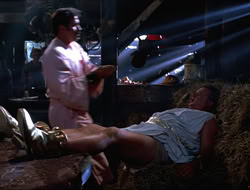 extant_HTLJ_4x16-Porkules_2472