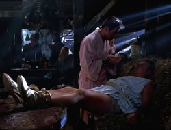 extant_HTLJ_4x16-Porkules_2474
