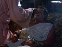 extant_HTLJ_4x16-Porkules_2490