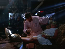 extant_HTLJ_4x16-Porkules_2502