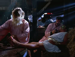 extant_HTLJ_4x16-Porkules_2517