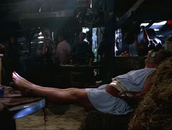 extant_HTLJ_4x16-Porkules_2558