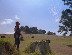extant_HTLJ_4x16-Porkules_2883