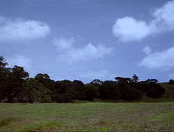 extant_HTLJ_4x16-Porkules_2887