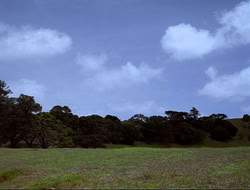 extant_HTLJ_4x16-Porkules_2888