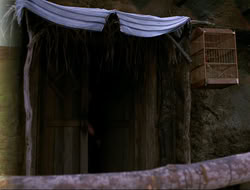 extant_HTLJ_4x16-Porkules_2895