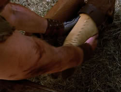 extant_HTLJ_4x16-Porkules_2905