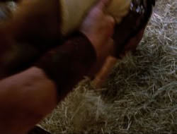 extant_HTLJ_4x16-Porkules_2907