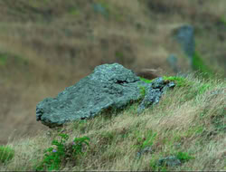 extant_HTLJ_4x16-Porkules_2977