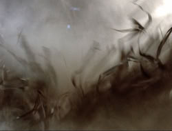extant_HTLJ_4x16-Porkules_3034