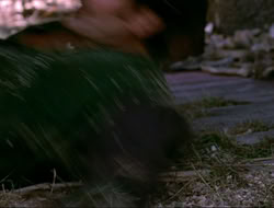 extant_HTLJ_4x16-Porkules_3038