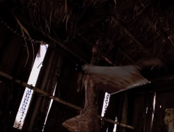 extant_HTLJ_4x16-Porkules_3040