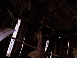 extant_HTLJ_4x16-Porkules_3041