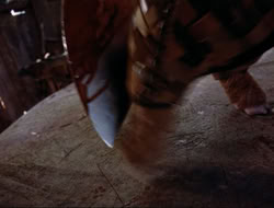 extant_HTLJ_4x16-Porkules_3042
