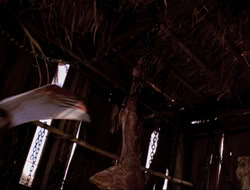 extant_HTLJ_4x16-Porkules_3045