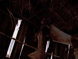 extant_HTLJ_4x16-Porkules_3046