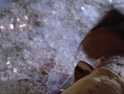 extant_HTLJ_4x16-Porkules_3047