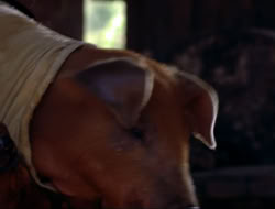 extant_HTLJ_4x16-Porkules_3051