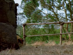 extant_HTLJ_4x16-Porkules_3069