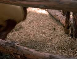 extant_HTLJ_4x16-Porkules_3087
