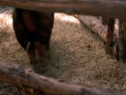 extant_HTLJ_4x16-Porkules_3088