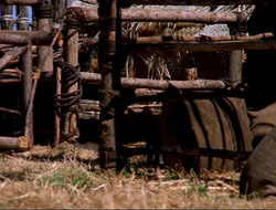 extant_HTLJ_4x16-Porkules_3090
