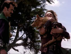 extant_HTLJ_4x16-Porkules_3282