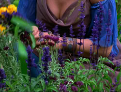 extant_HTLJ_4x16-Porkules_3402