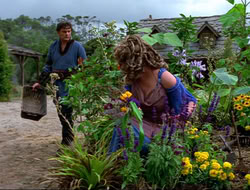 extant_HTLJ_4x16-Porkules_3413