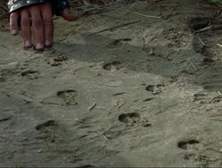 extant_HTLJ_4x16-Porkules_3586