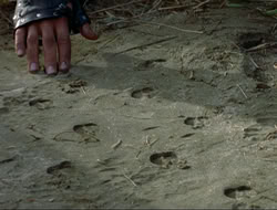 extant_HTLJ_4x16-Porkules_3587