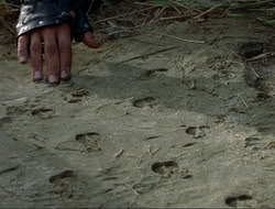 extant_HTLJ_4x16-Porkules_3588