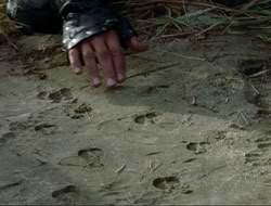extant_HTLJ_4x16-Porkules_3589