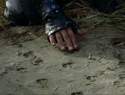 extant_HTLJ_4x16-Porkules_3590