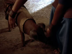extant_HTLJ_4x16-Porkules_3705