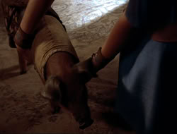 extant_HTLJ_4x16-Porkules_3706