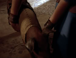 extant_HTLJ_4x16-Porkules_3707