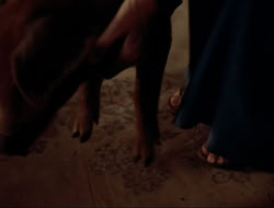 extant_HTLJ_4x16-Porkules_3710