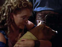extant_HTLJ_4x16-Porkules_3714