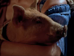 extant_HTLJ_4x16-Porkules_3824
