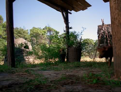 extant_HTLJ_4x16-Porkules_3860