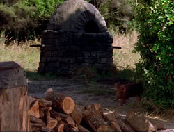 extant_HTLJ_4x16-Porkules_3863
