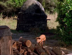 extant_HTLJ_4x16-Porkules_3864