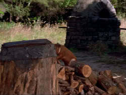 extant_HTLJ_4x16-Porkules_3867