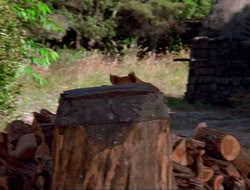 extant_HTLJ_4x16-Porkules_3868