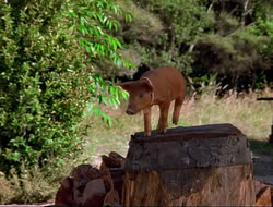 extant_HTLJ_4x16-Porkules_3871